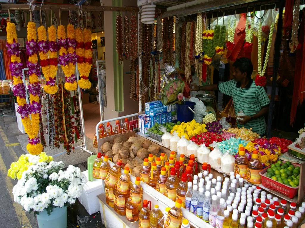 City Tour with Gardens by the Bay - Private Tour - Photo 7