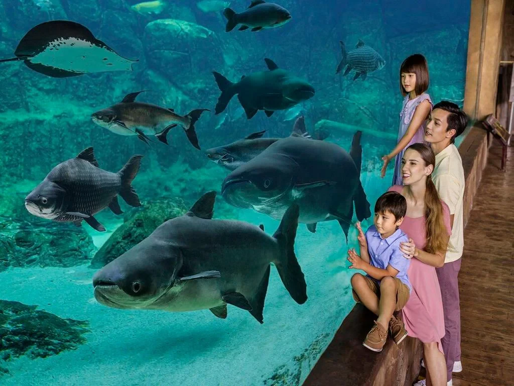 Discover River Wonders with Optional Transfer - Photo 5