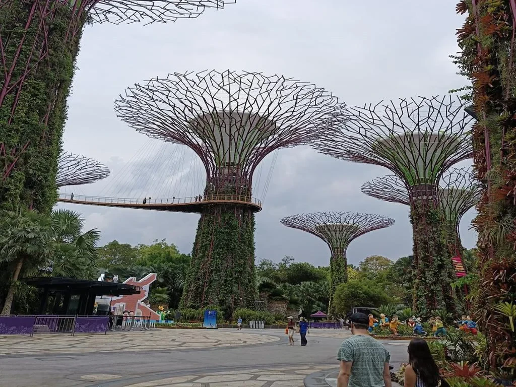 Explore Singapore - Private Car Charter