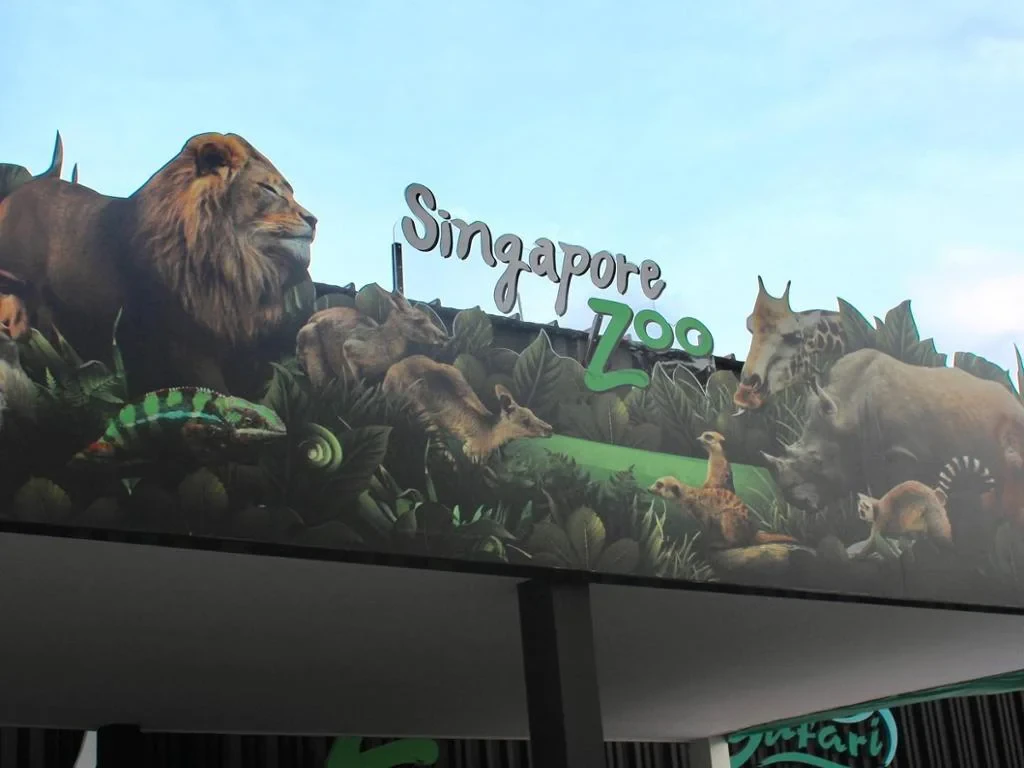 Explore Singapore - Private Car Charter - Photo 6