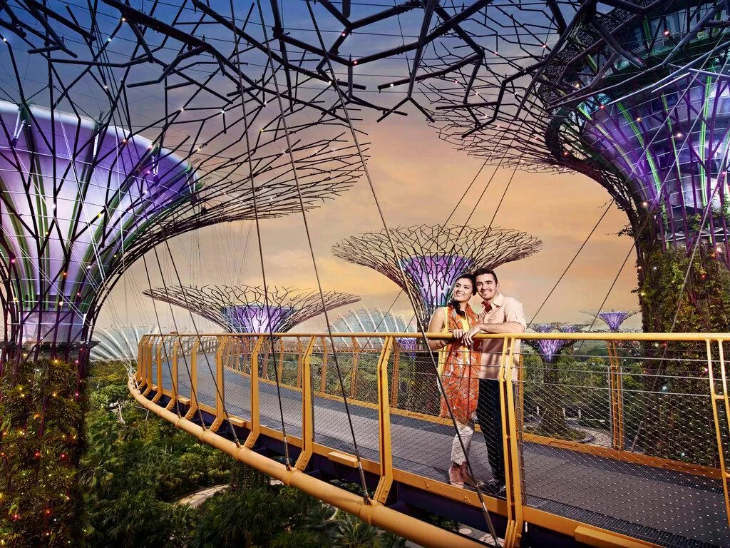 Gardens by the Bay - Ticket - Photo 3