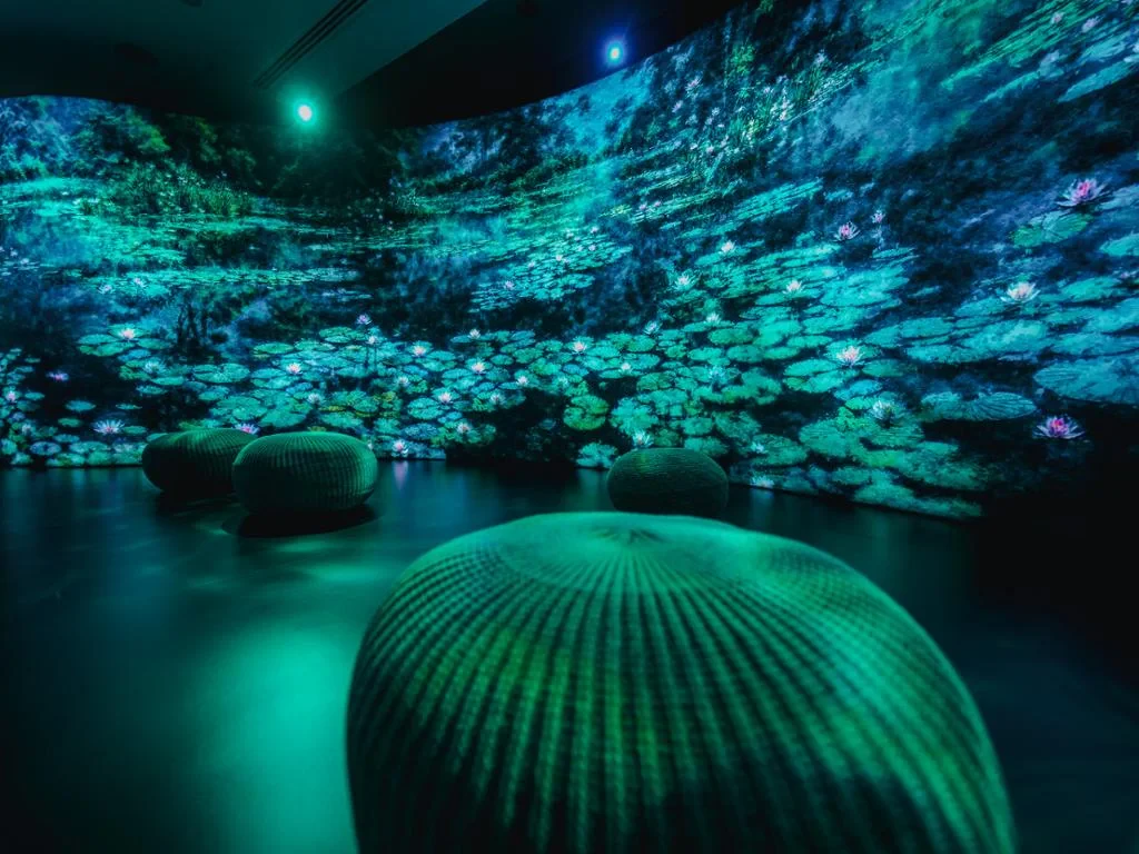 Gardens by the Bay - Ticket - Photo 7