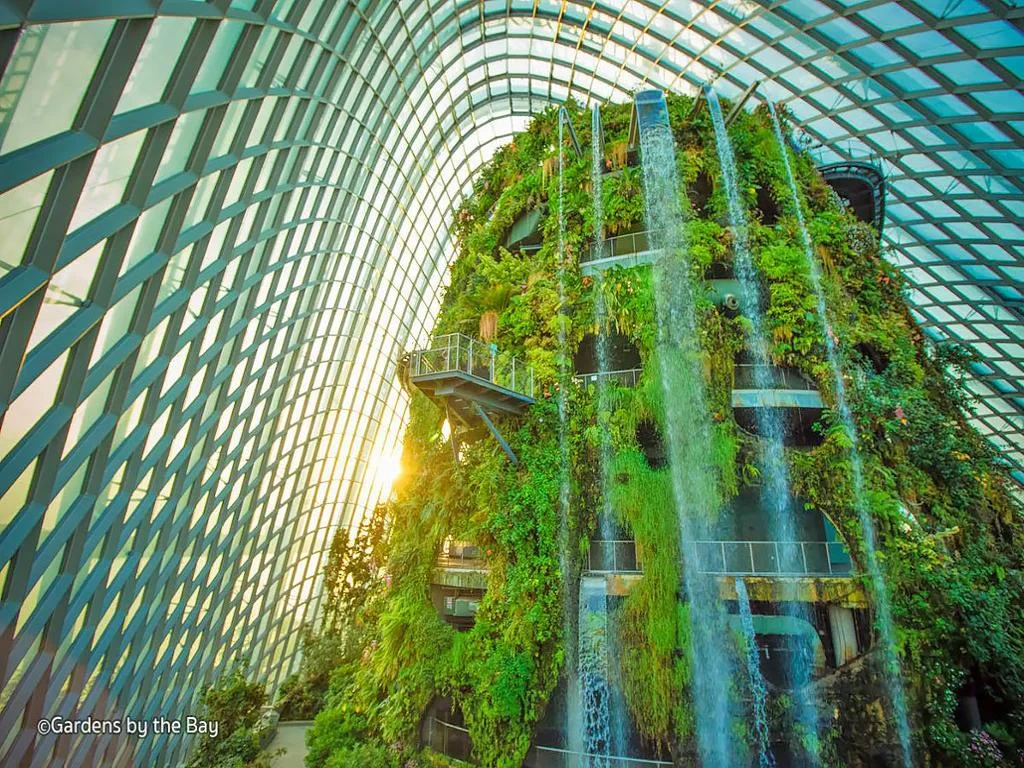 Gardens by the Bay - Ticket - Photo 2