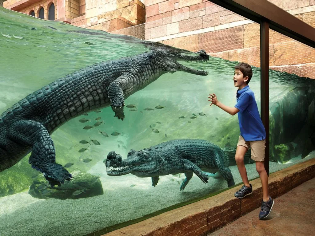 River Wonders - Photo 3