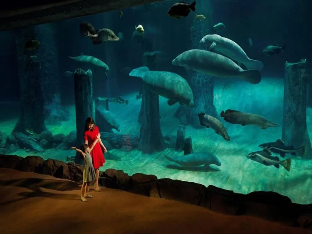 River Wonders - Ticket - Photo 5