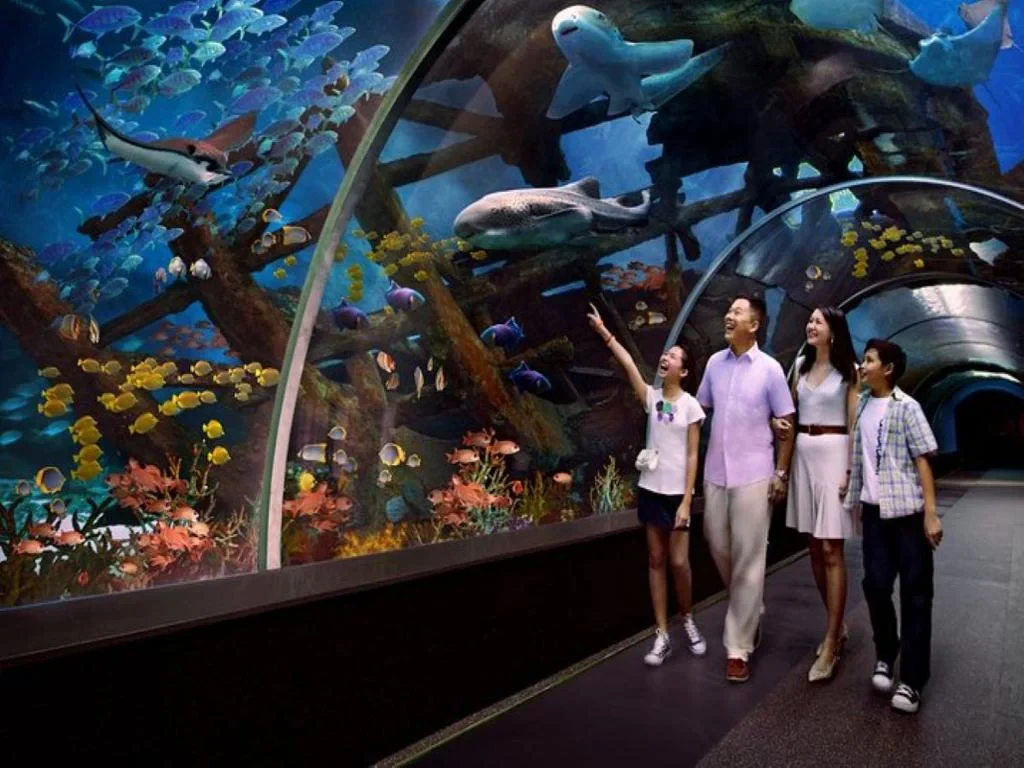 S.E.A. Aquarium Direct