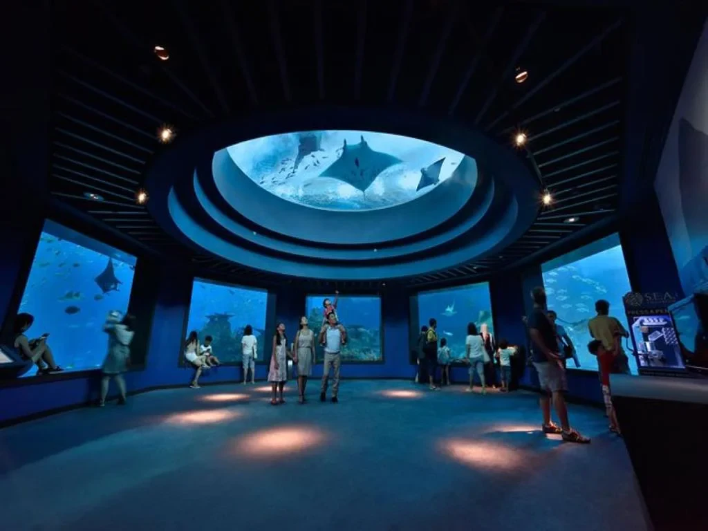 S.E.A. Aquarium Direct - Photo 5