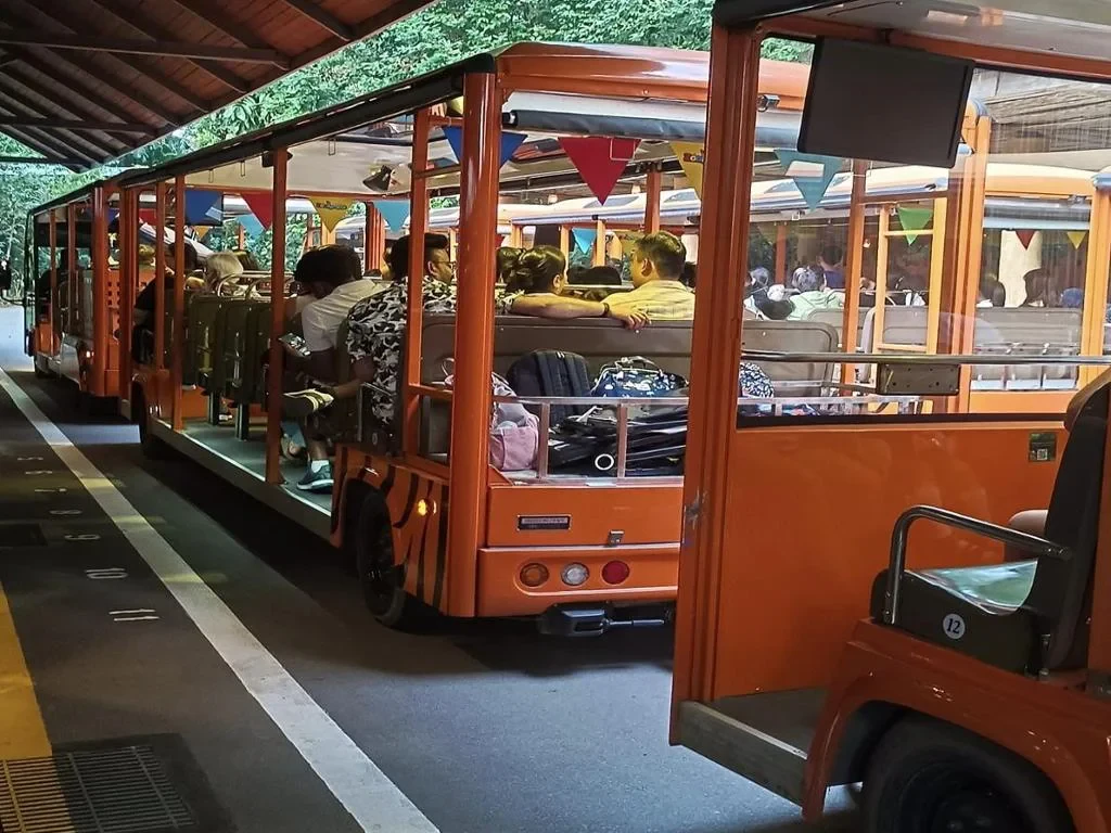 Singapore Night Safari – Ticket