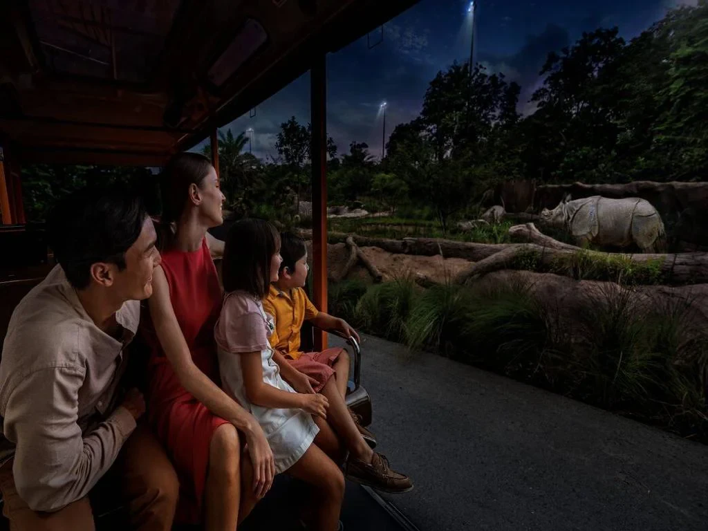 Singapore Night Safari – Ticket - Photo 6
