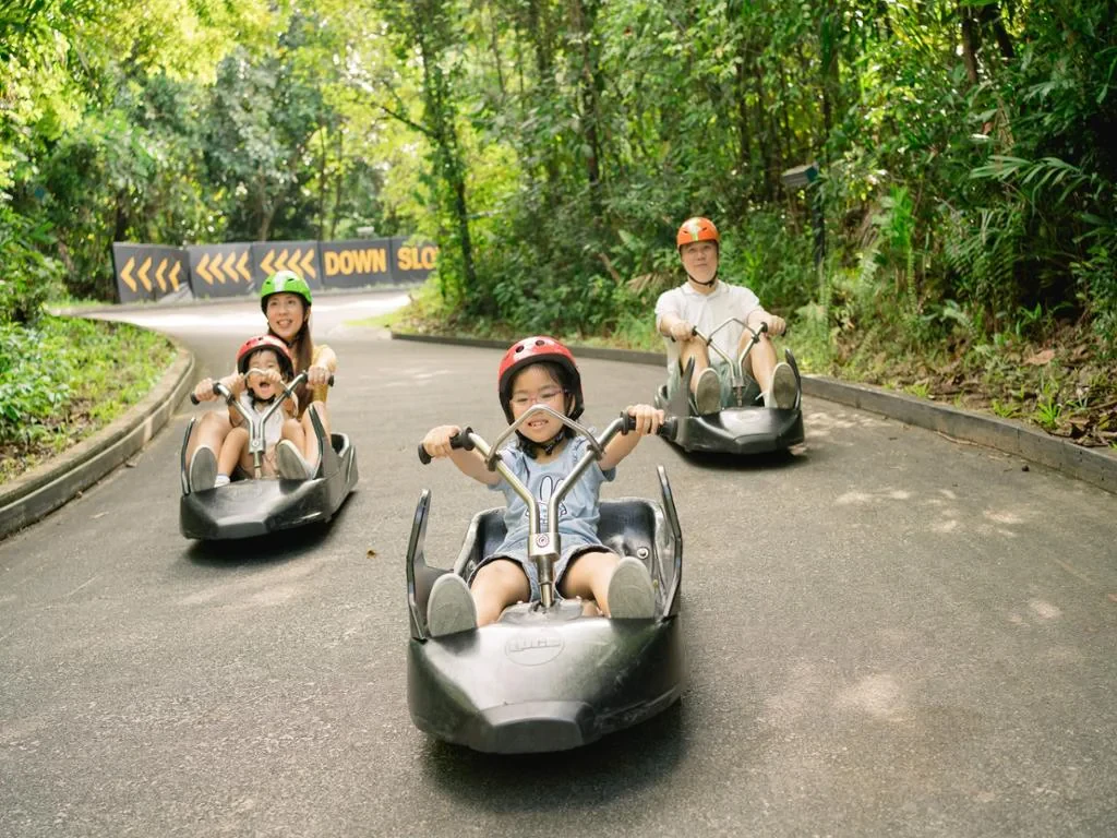 Skyline Luge Sentosa - Ticket - Photo 4
