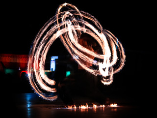 Captivating scene from the Night Safari Singapore's nocturnal animal show, featuring illuminated performers and lively animals against a dark jungle backdrop."