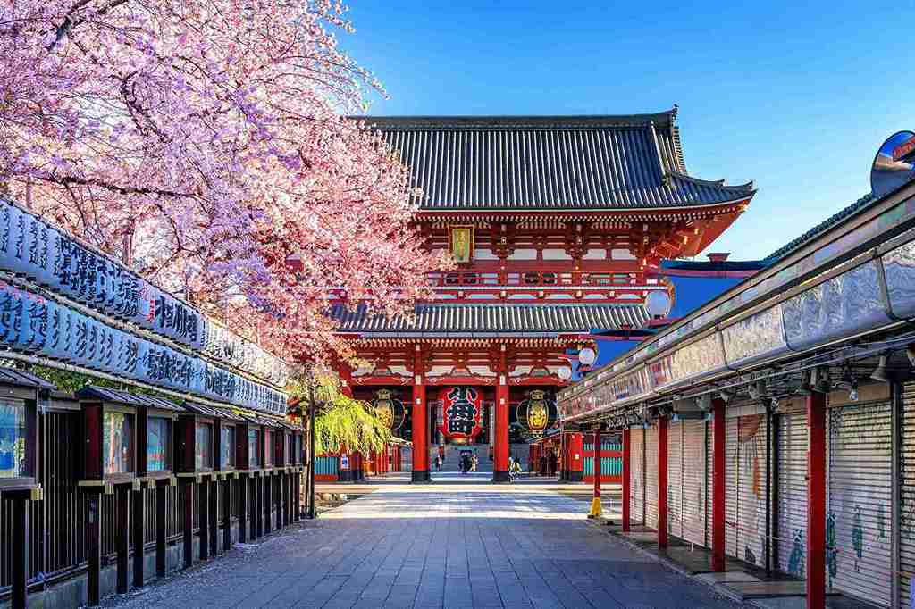 <a href="https://www.freepik.com/free-photo/cherry-blossoms-sensoji-temple-asakusa-tokyo-japan_10824489.htm#fromView=search&page=1&position=2&uuid=67e4748b-84e3-4ed7-acaf-2f77e5bd179b">Image by tawatchai07 on Freepik</a>
Family-Friendly International Destinations