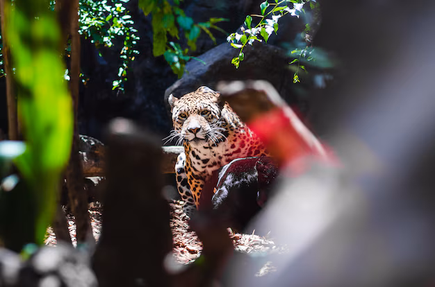 Singapore wildlife sanctuary with native animals in their natural habitat.