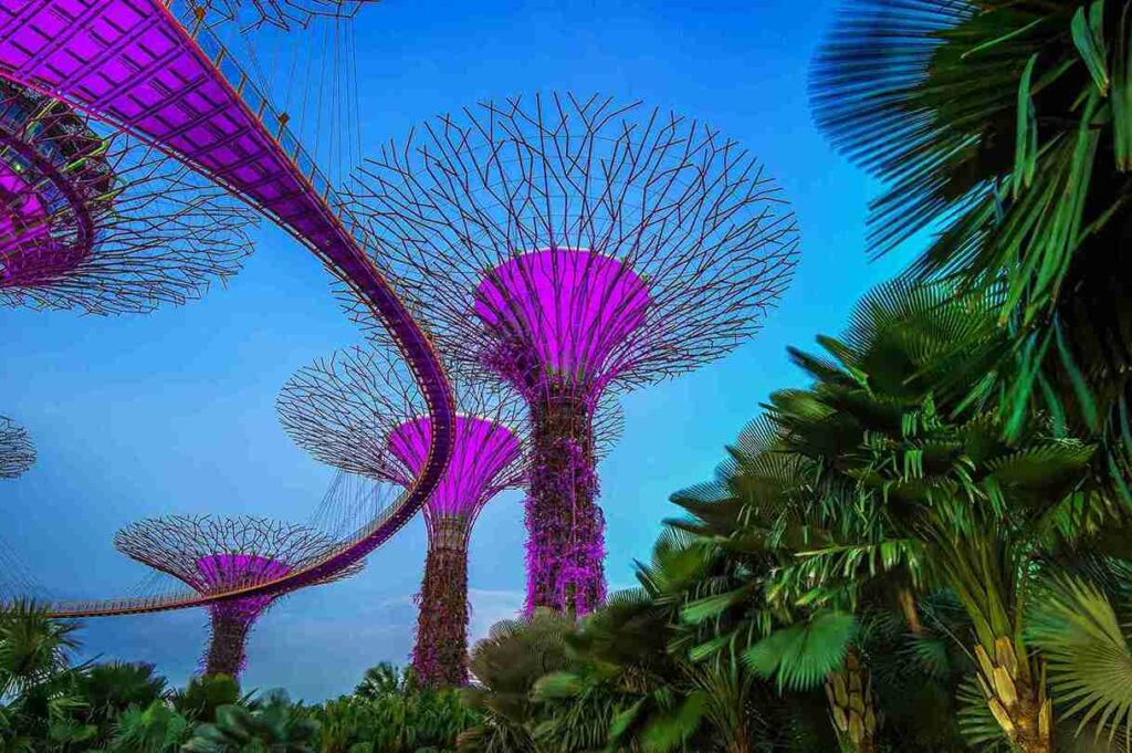 10 things to do on Singapore tour Gardens by the Bay