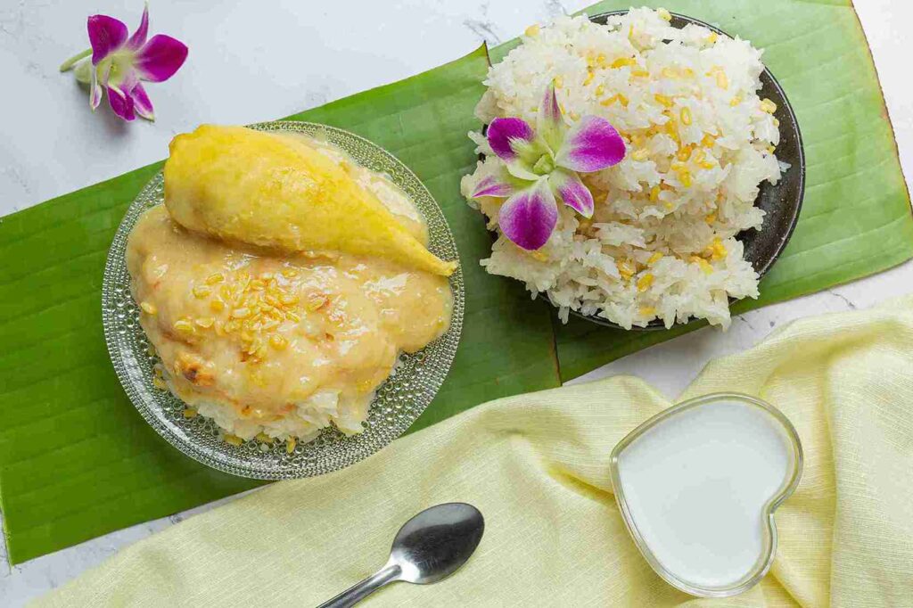 <a href="https://www.freepik.com/free-photo/thai-sweet-sticky-rice-with-durian-dessert_8883957.htm#fromView=search&page=1&position=8&uuid=479d2ebf-f792-487c-b5e1-2145674da969">Image by jcomp on Freepik</a>