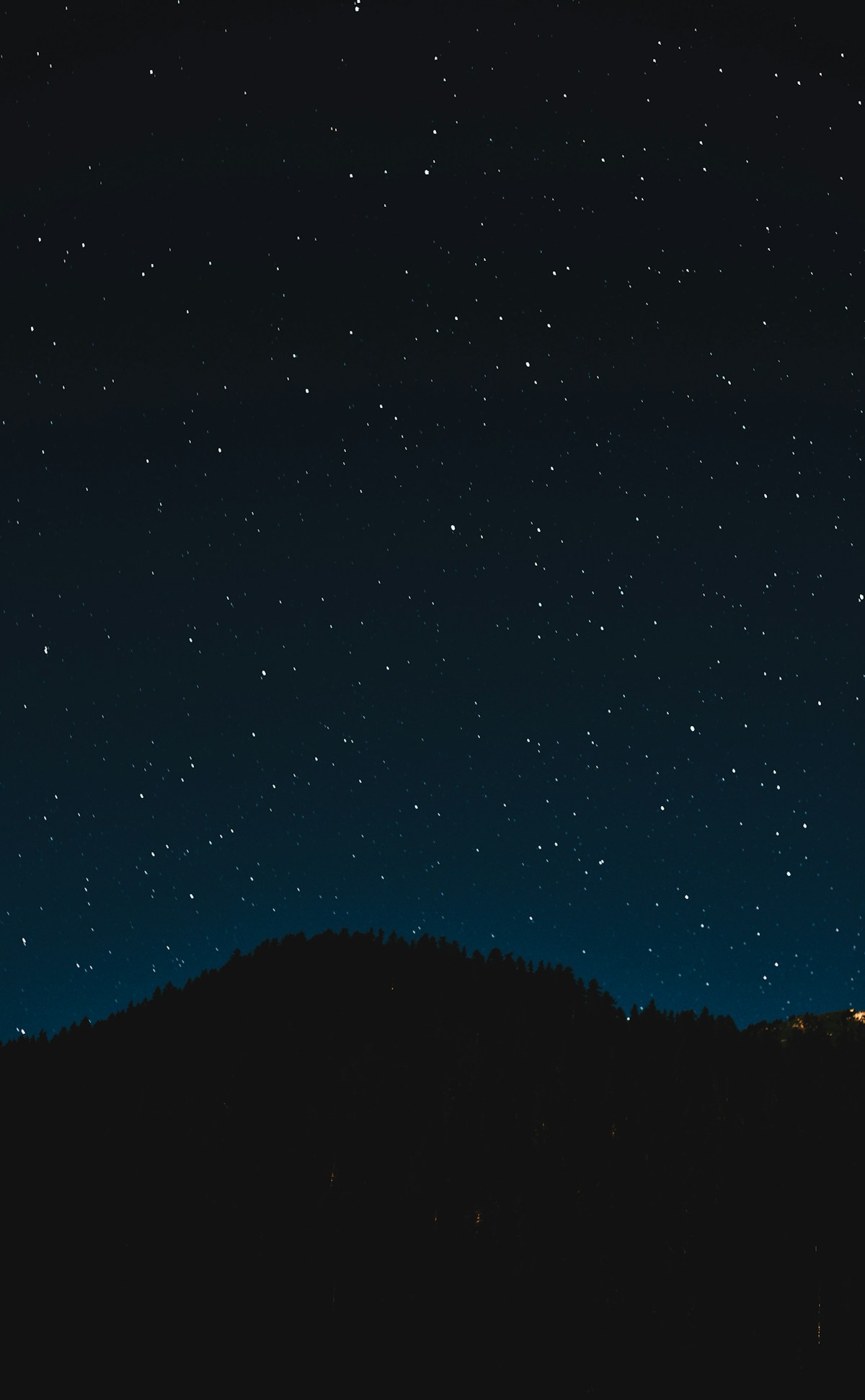 Free Day & Farewell Dinner